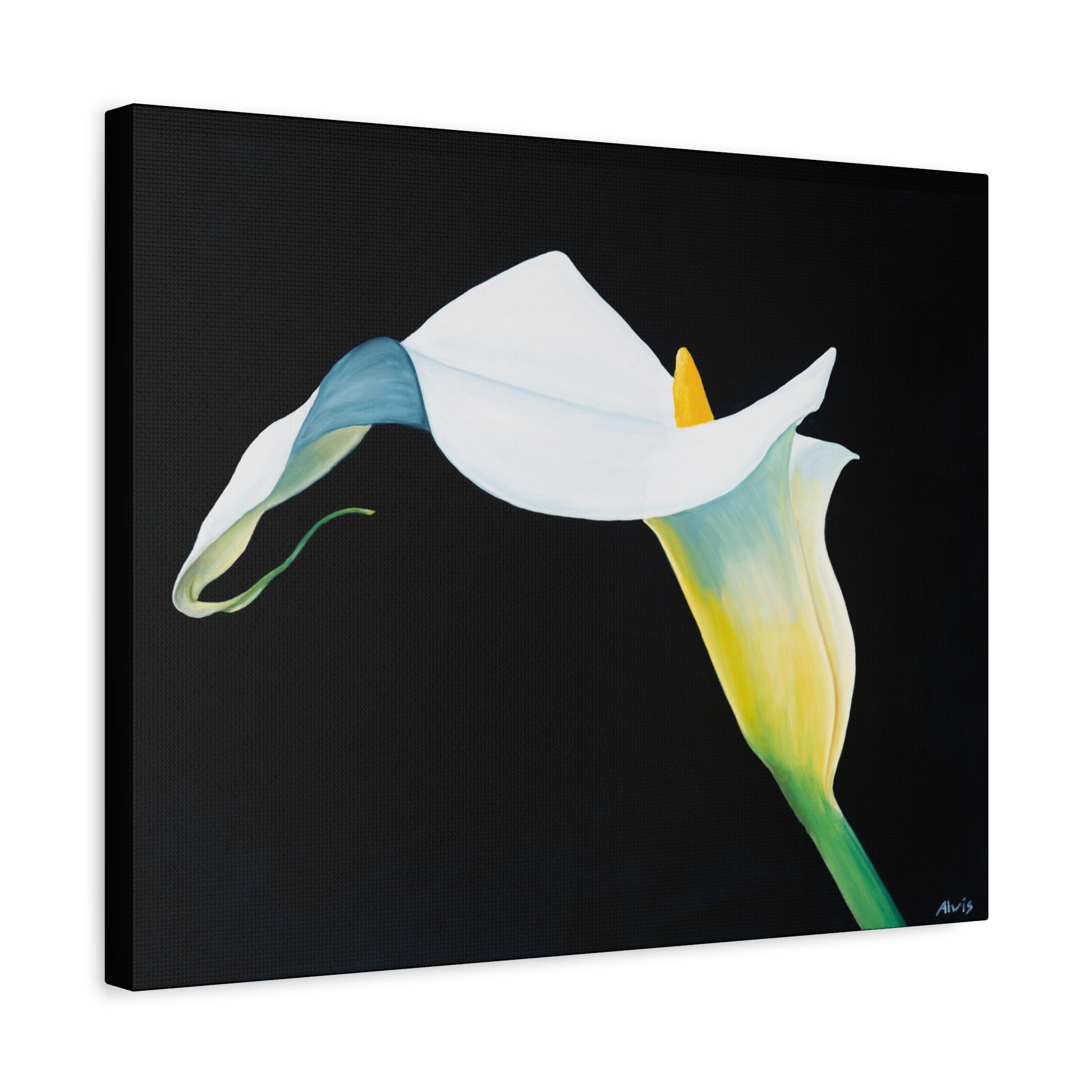 Elegant Calla Lily — Stretched Canvas