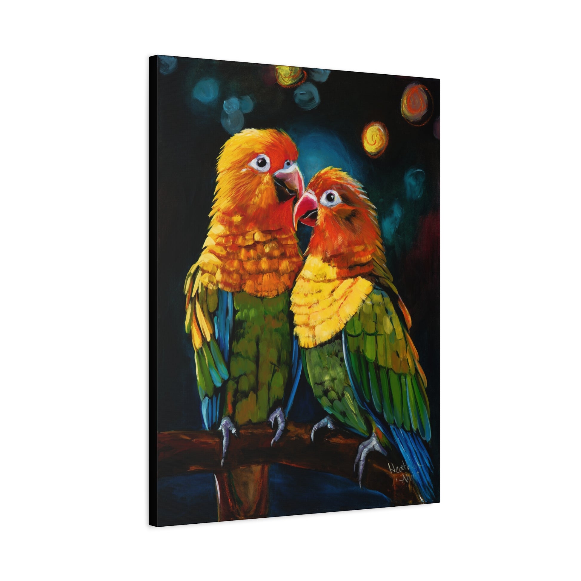 Sun Conure Parrots — Stretched Canvas