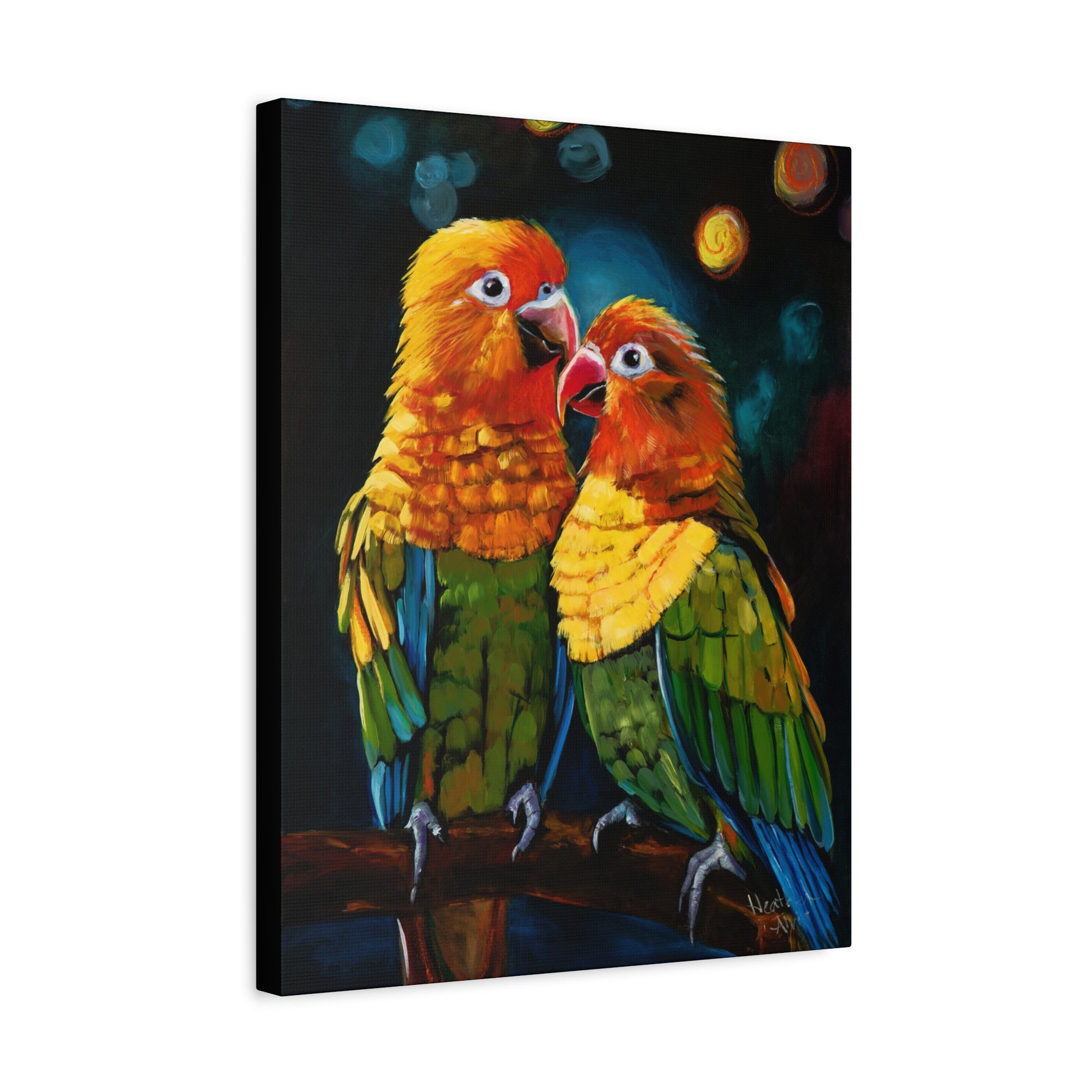 Sun Conure Parrots — Stretched Canvas