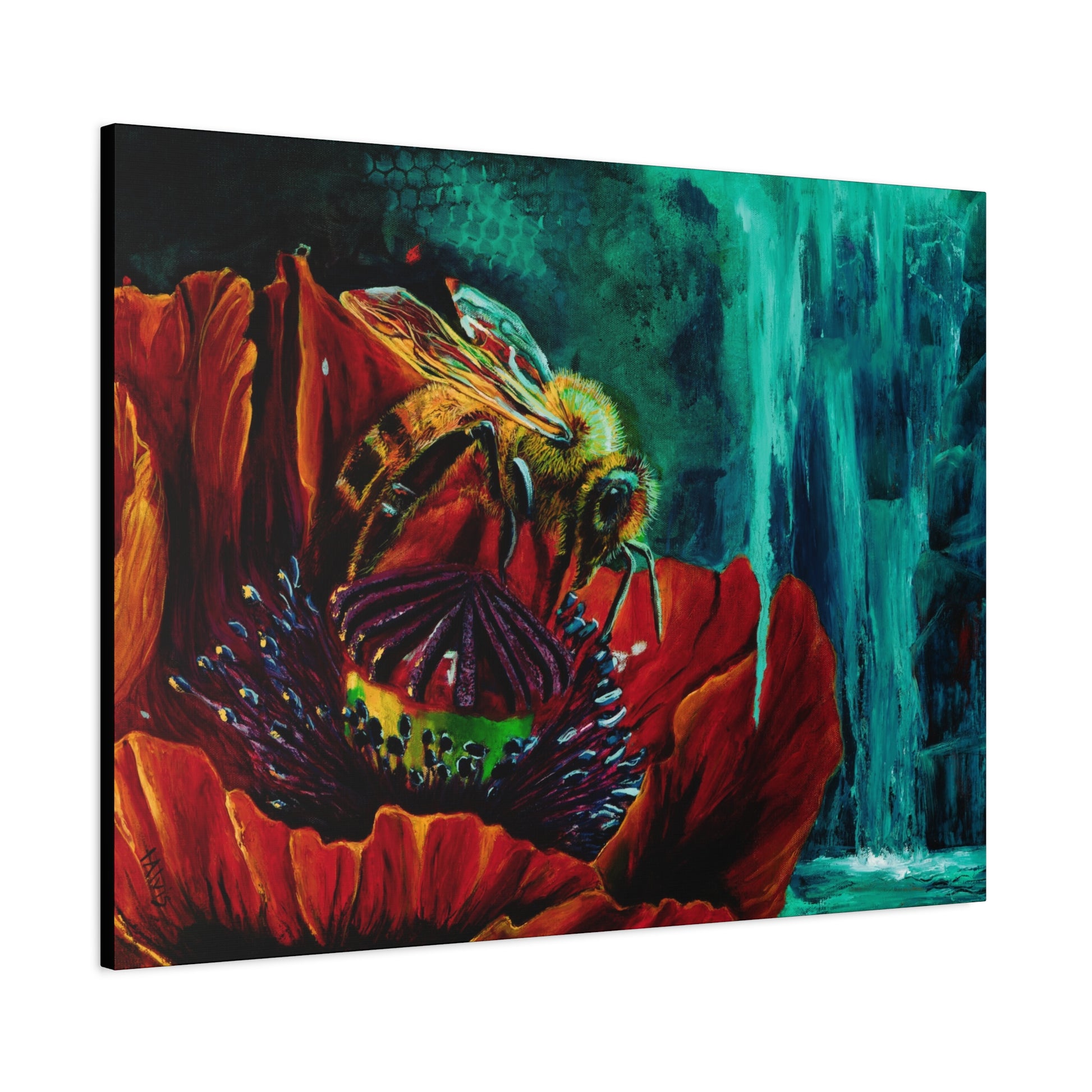 Honeybee and the Poppy — Stretched Canvas