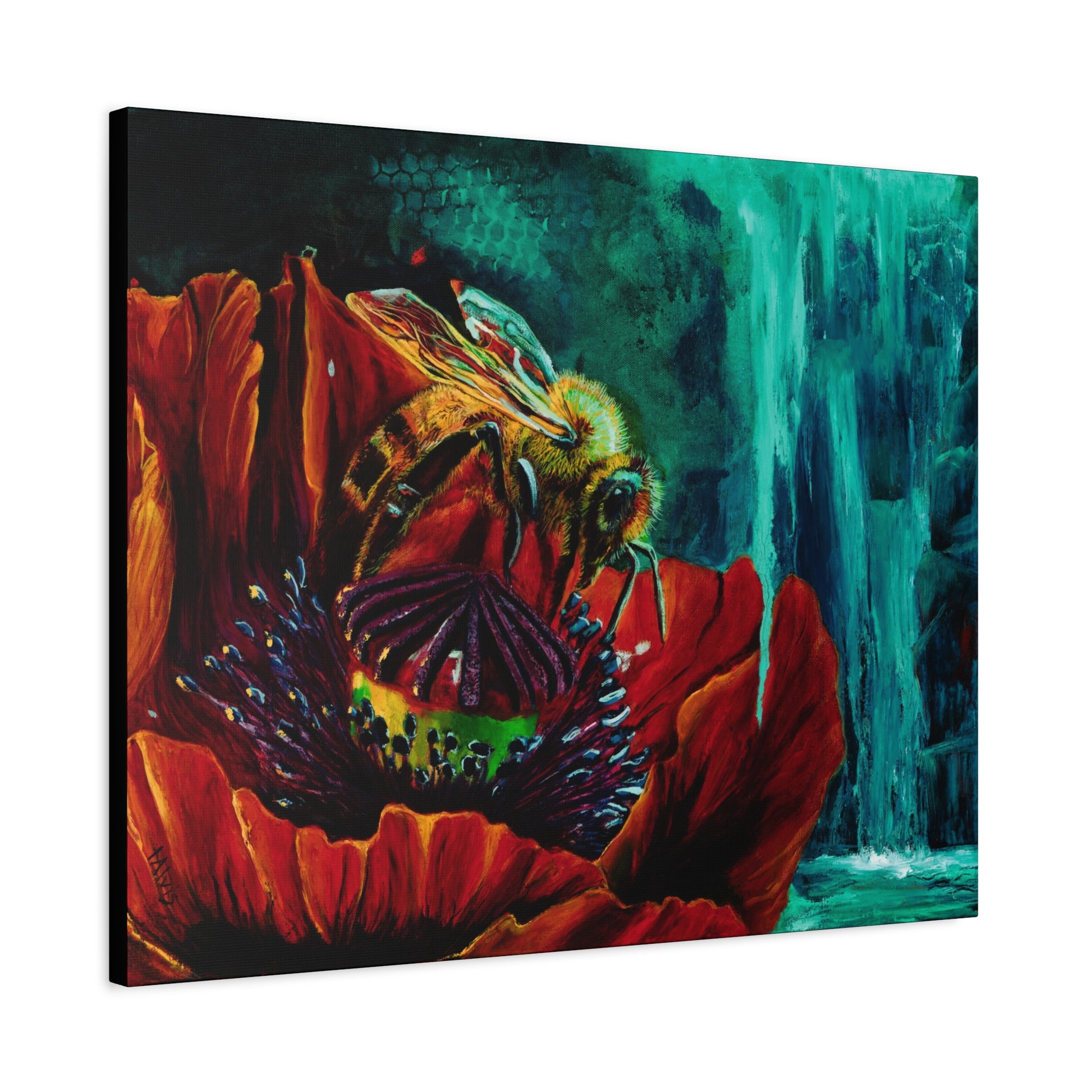 Honeybee and the Poppy — Stretched Canvas