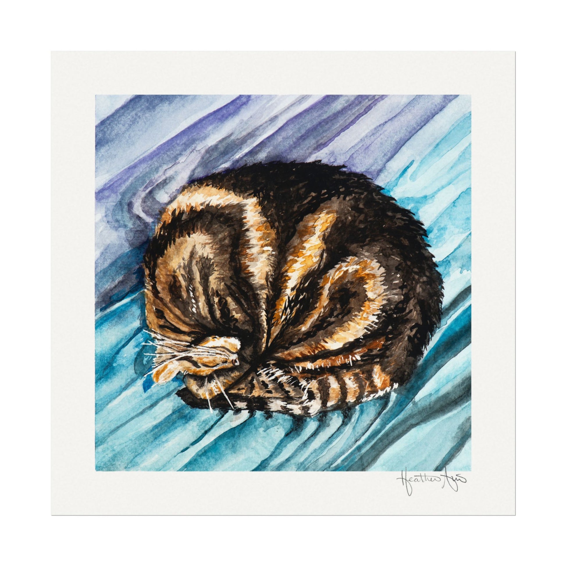 Curled Cat Napping — Watercolor Paper