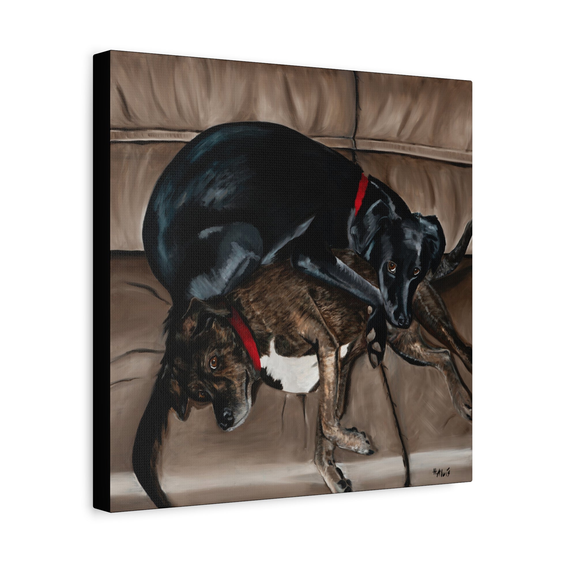 Sleeping Dogs — Stretched Canvas