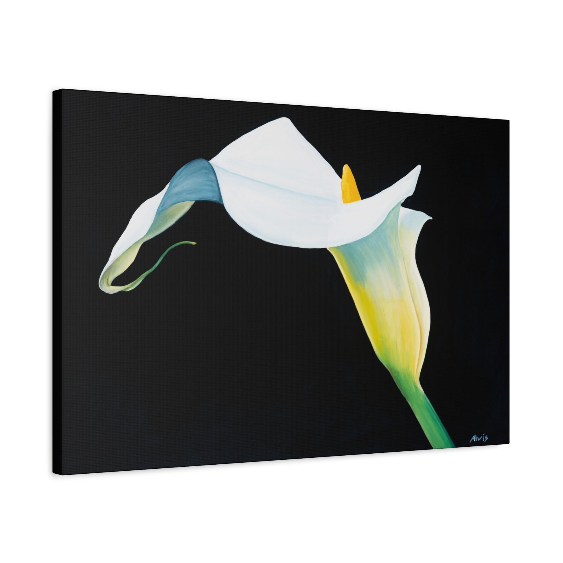 Elegant Calla Lily — Stretched Canvas