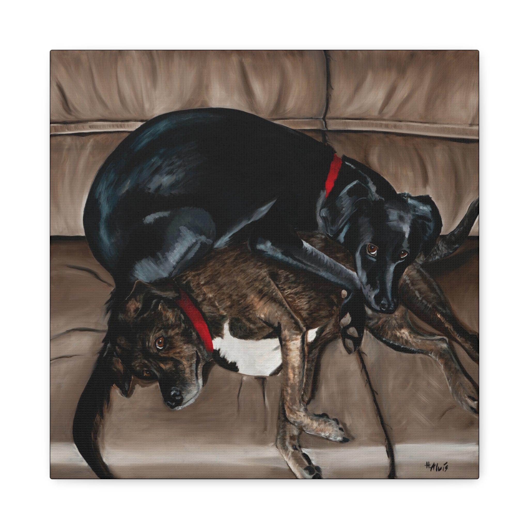 Sleeping Dogs — Stretched Canvas