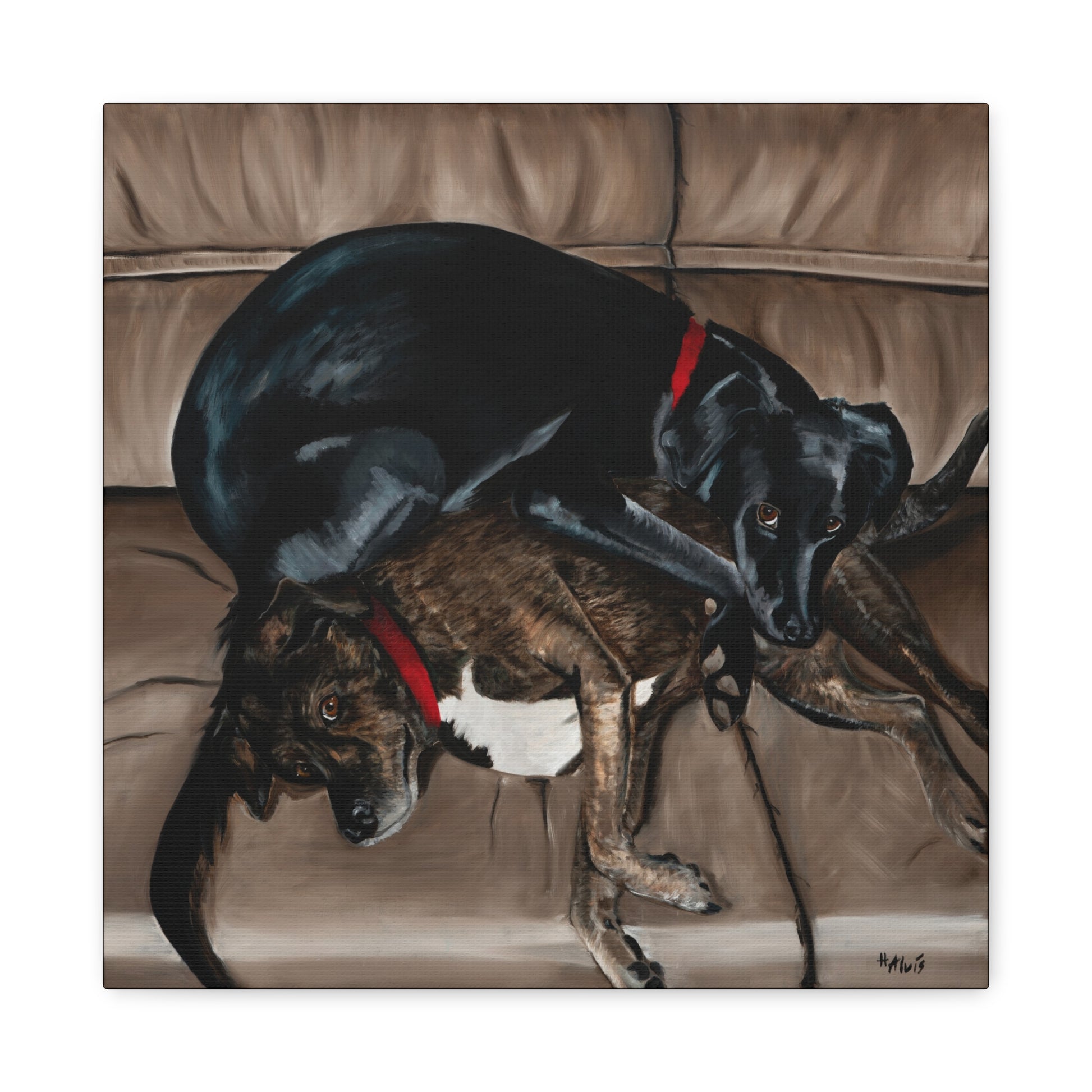 Sleeping Dogs — Stretched Canvas