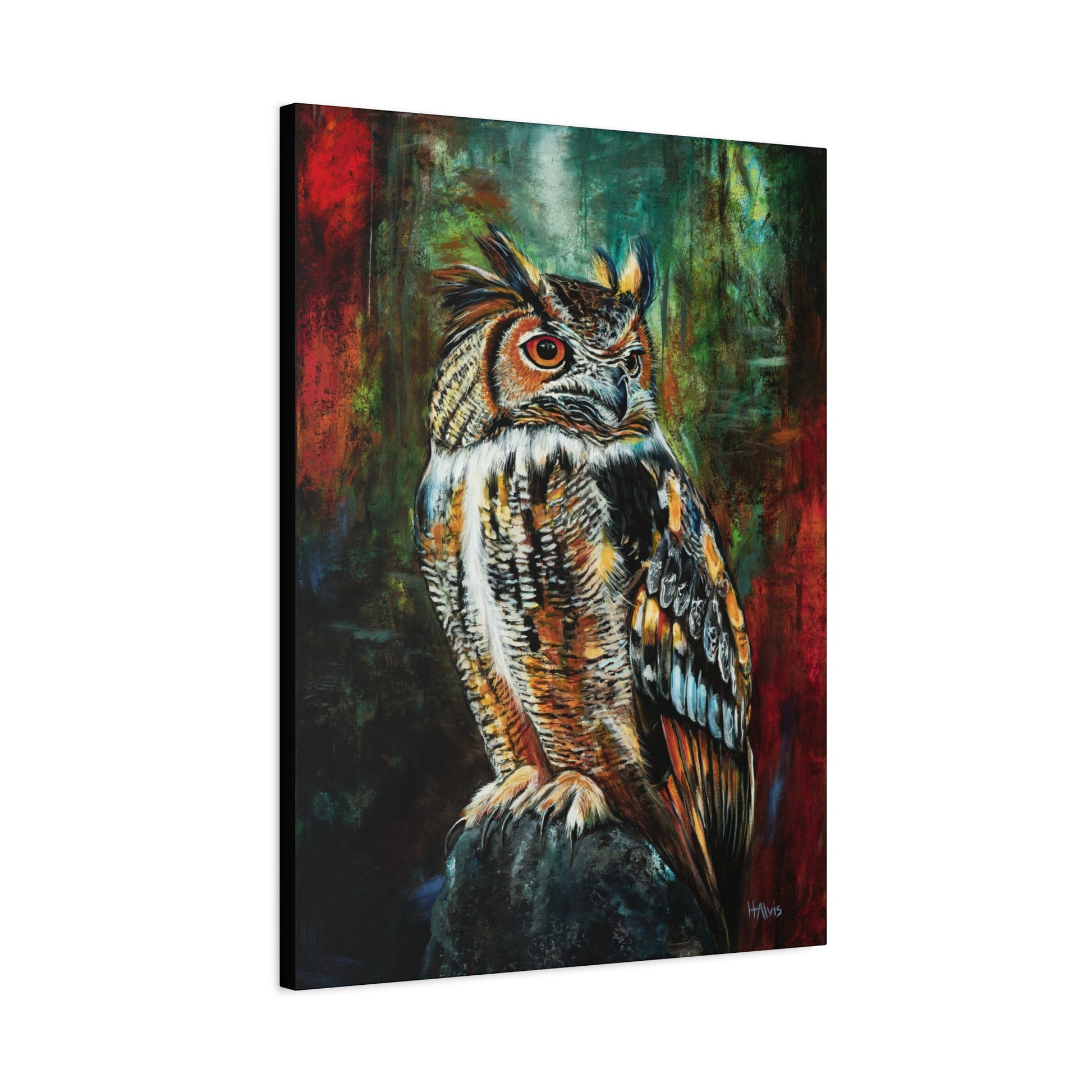 Great Horned Owl - Stretched Canvas