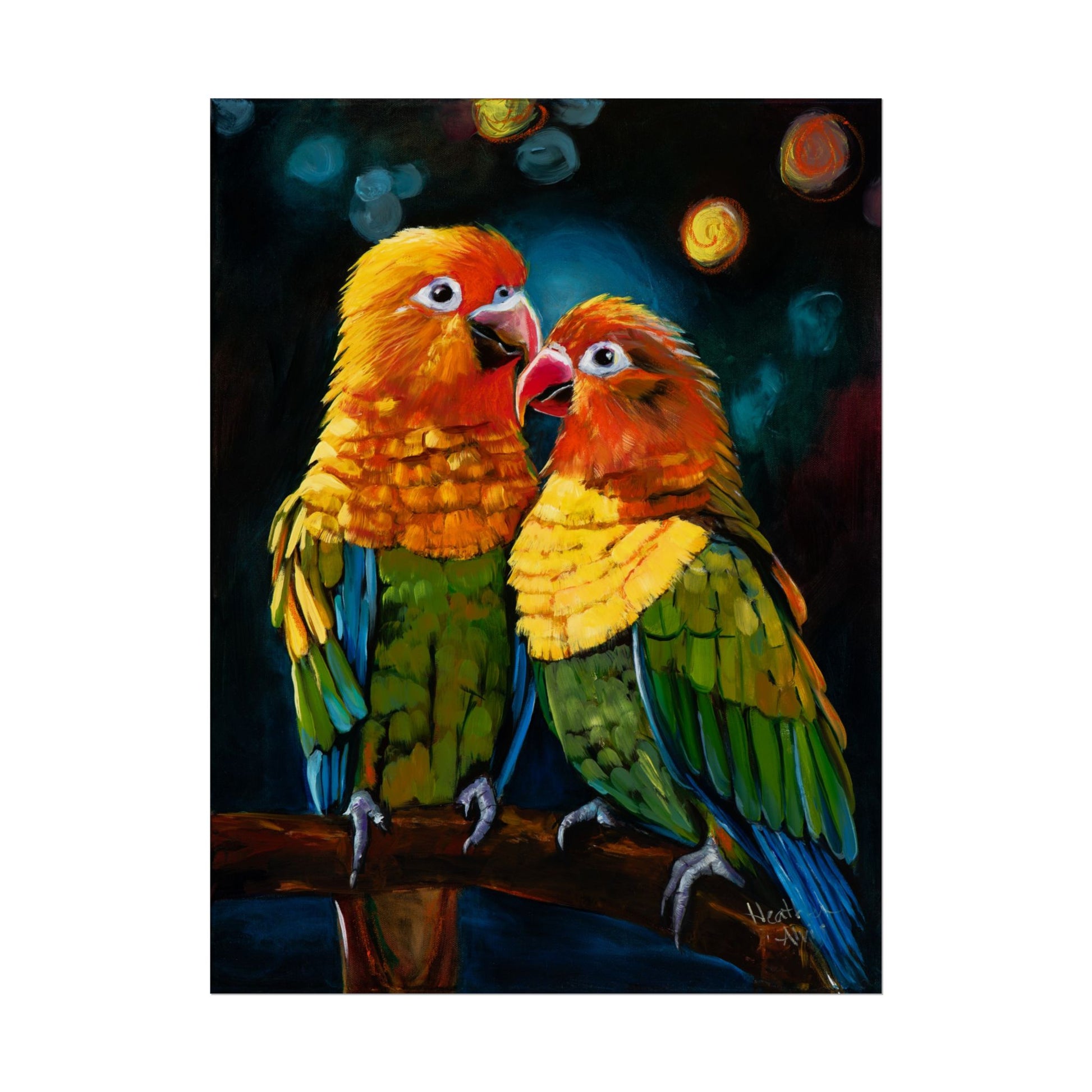 Sun Conure Parrots – Rolled Poster