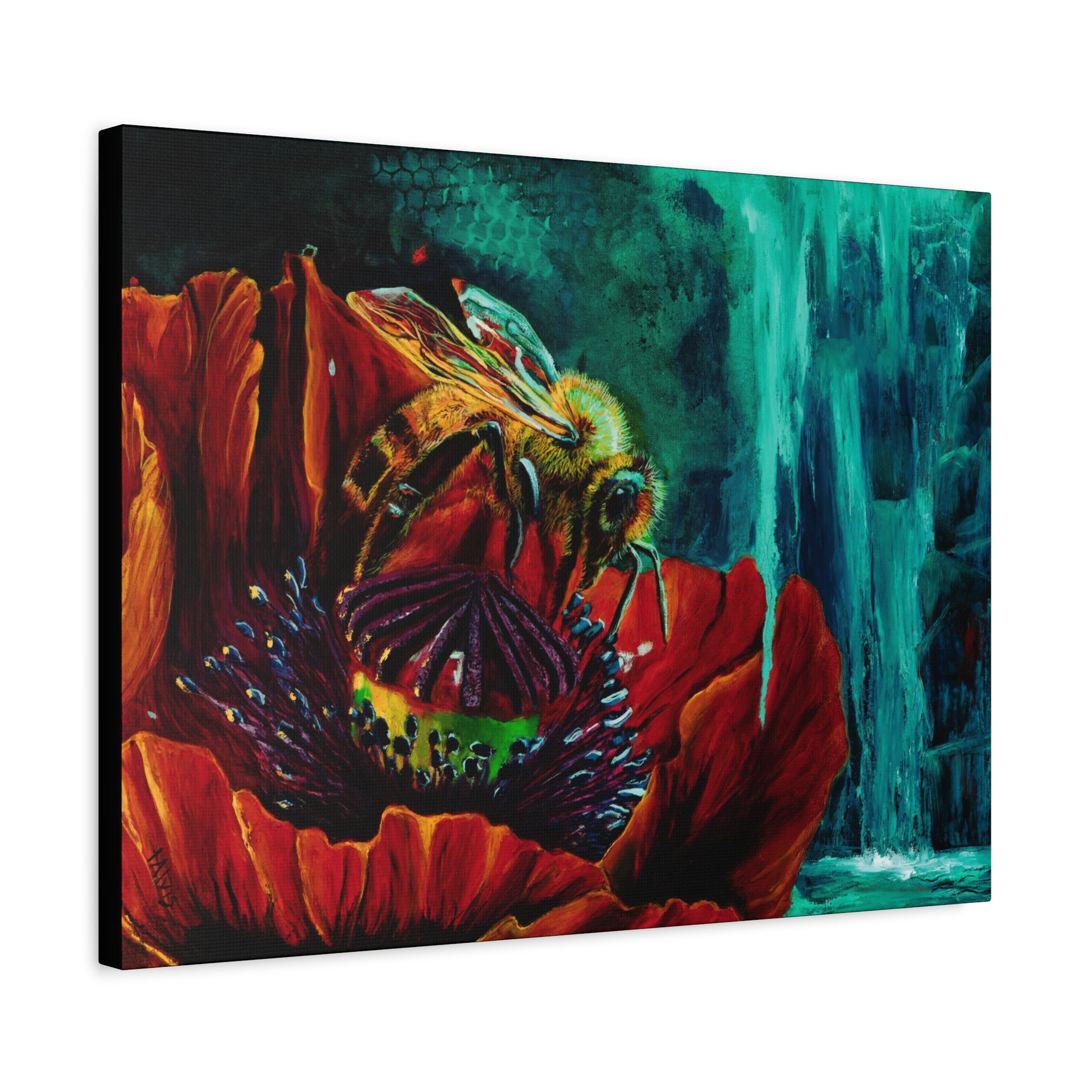 Honeybee and the Poppy — Stretched Canvas