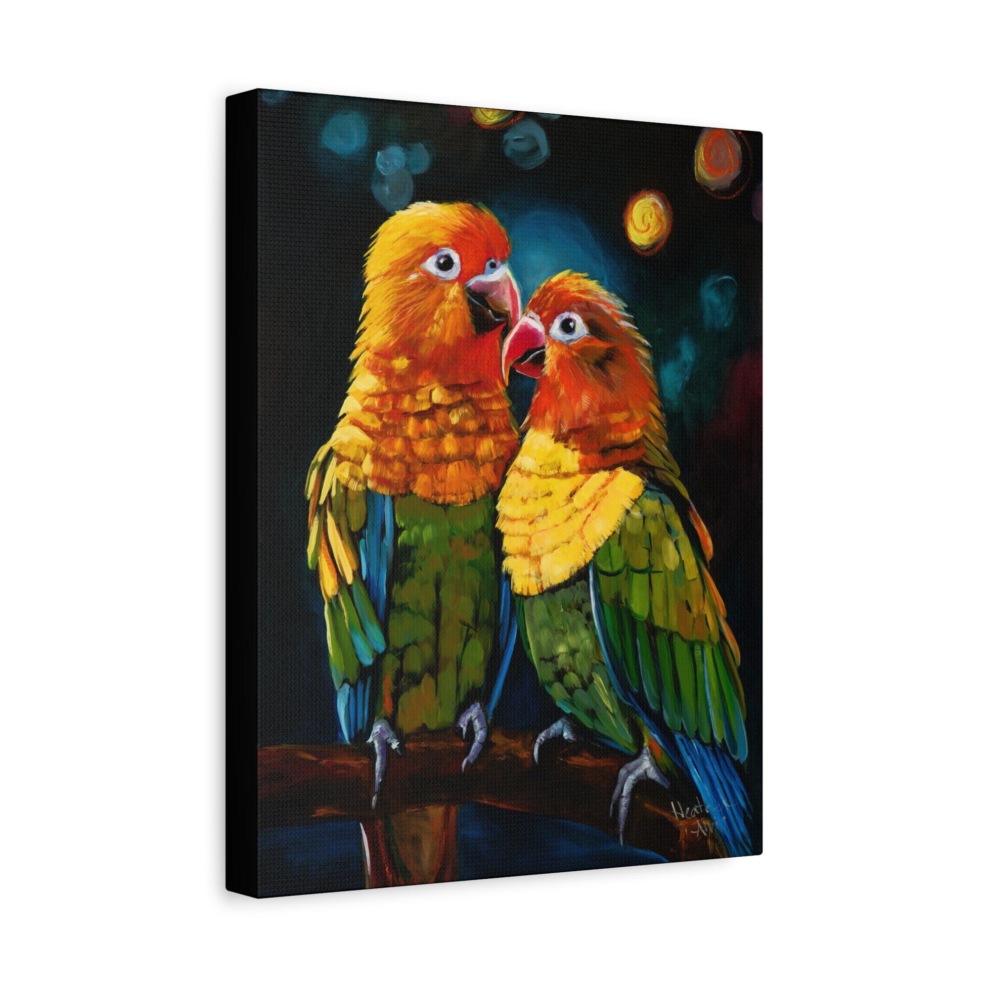 Sun Conure Parrots - Original