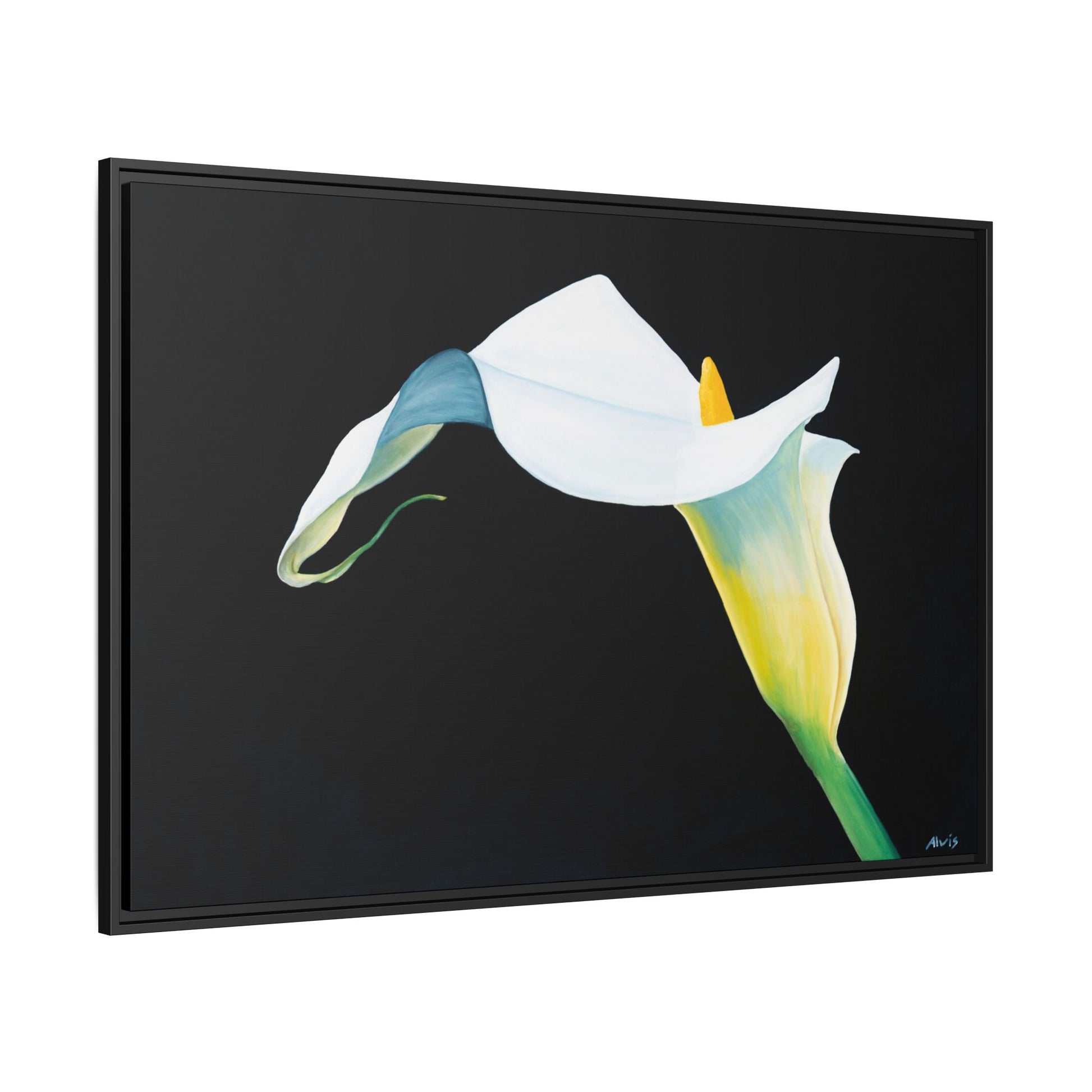 Elegant Calla Lily — Framed Canvas