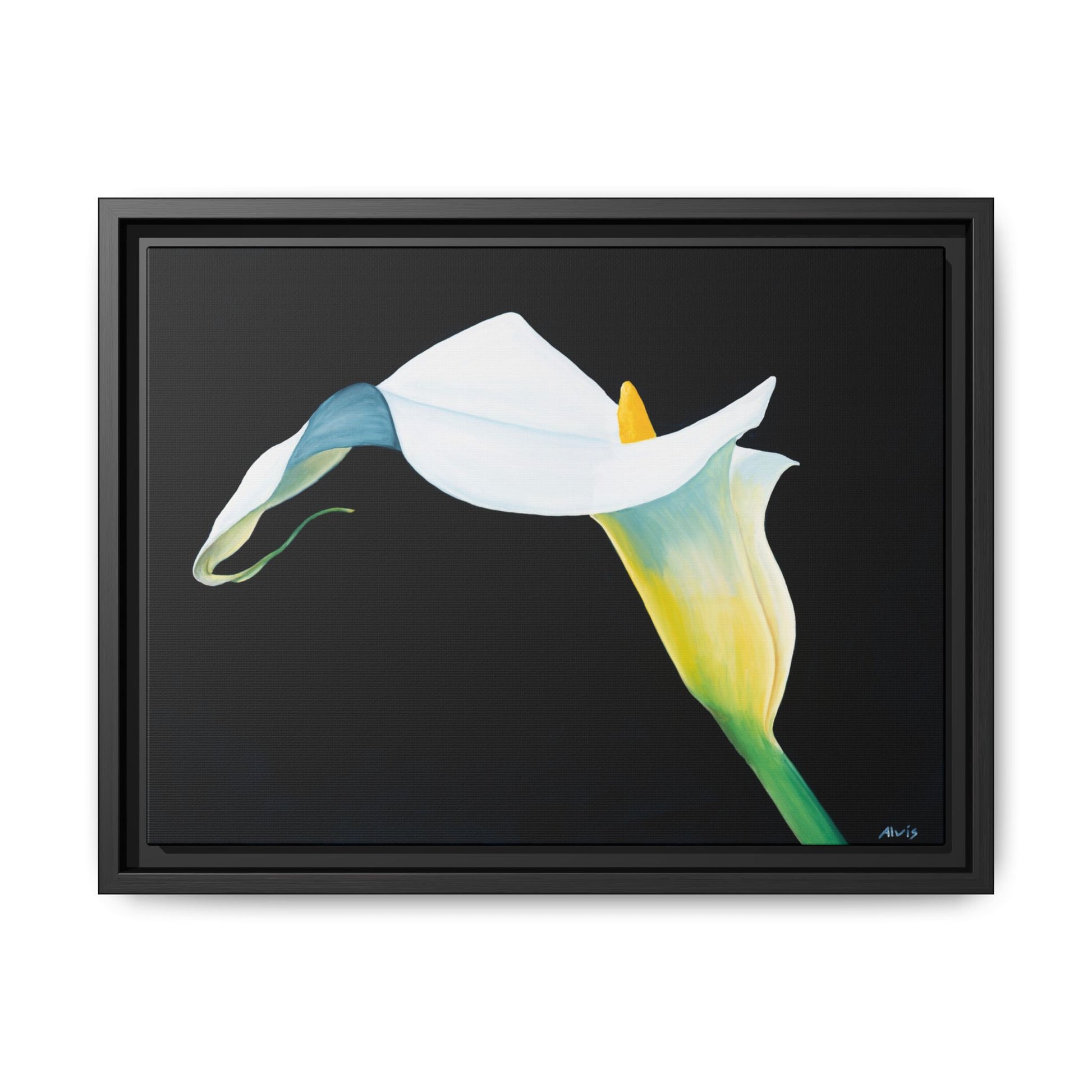 Elegant Calla Lily — Framed Canvas