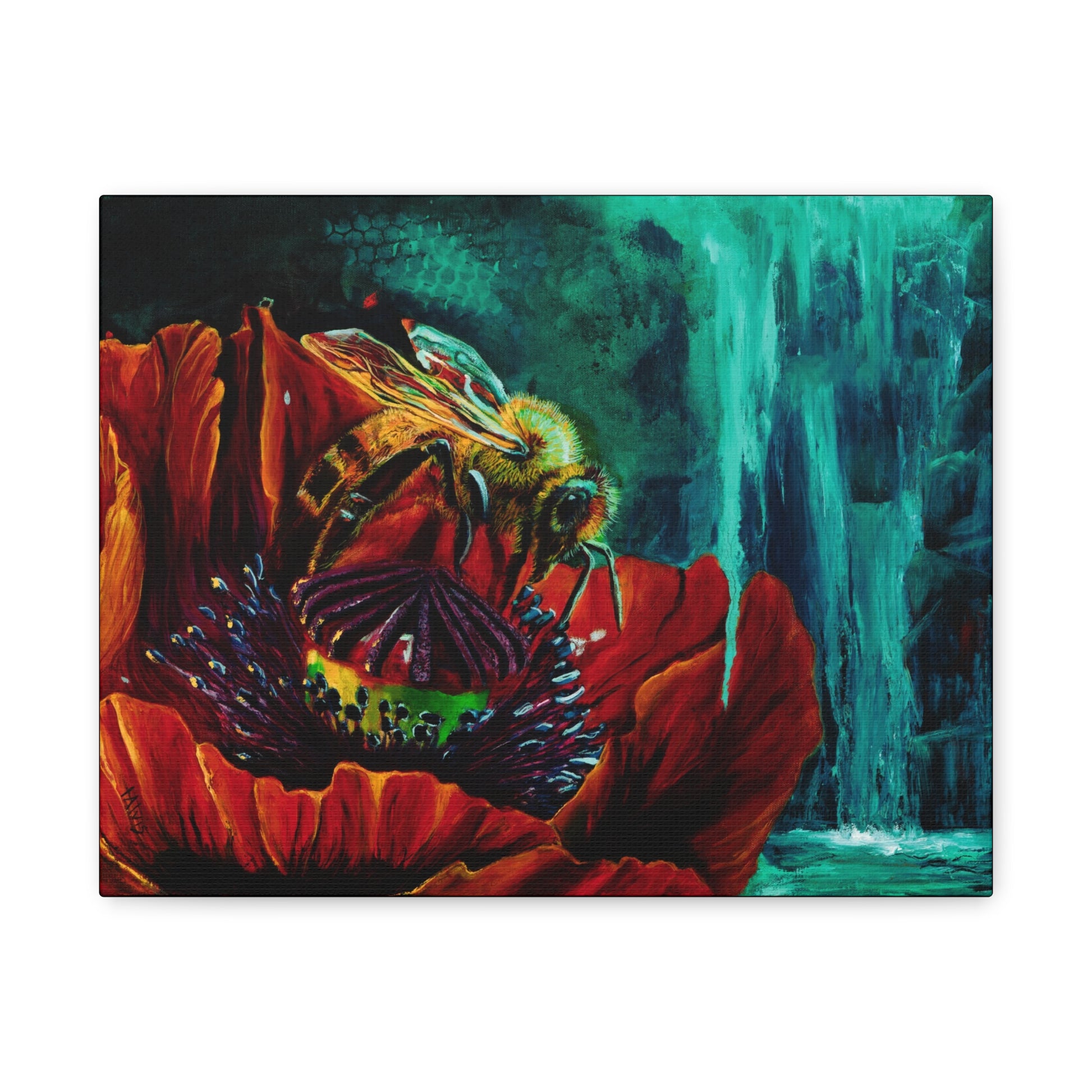 Honeybee and the Poppy — Stretched Canvas