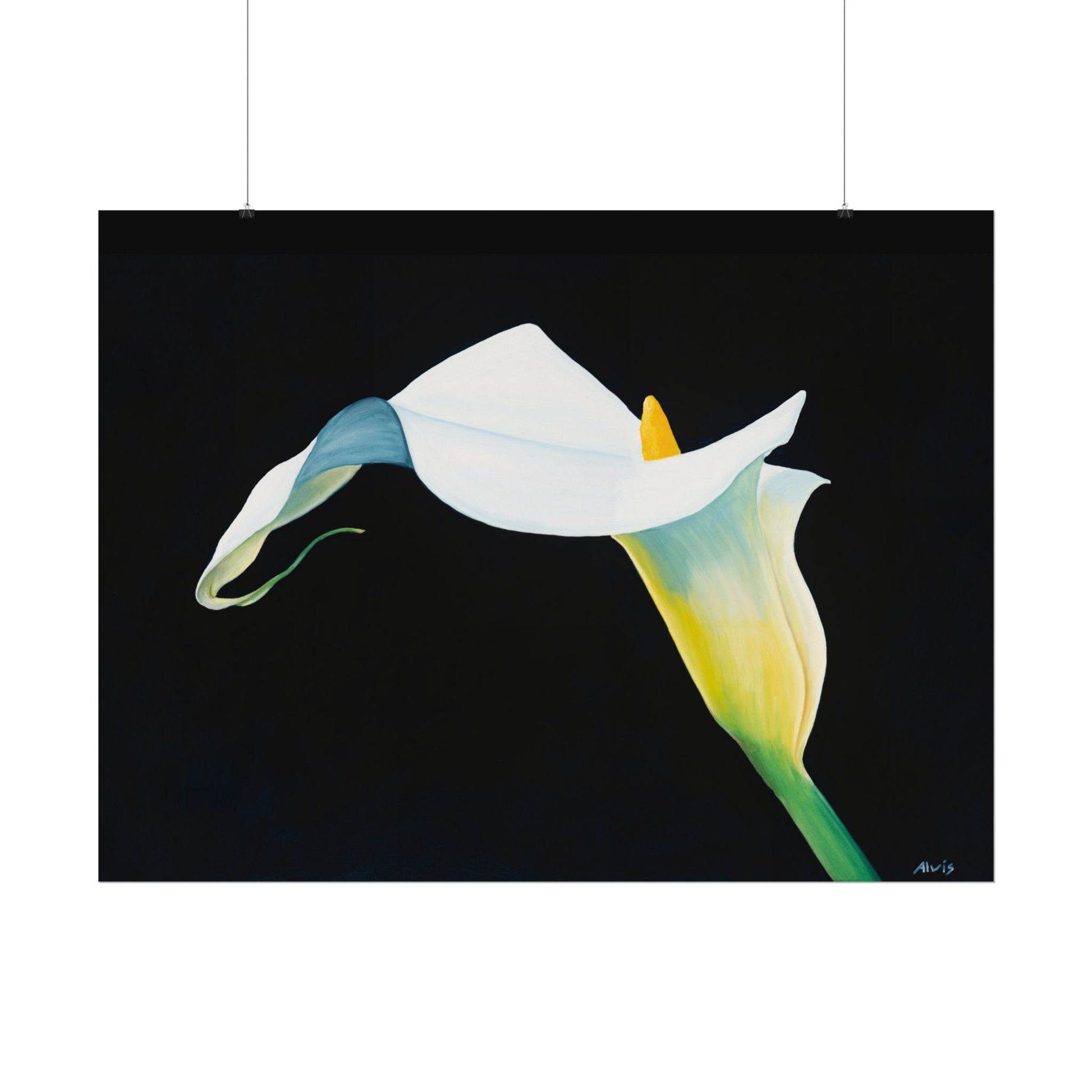 Elegant Calla Lily — Watercolor Paper