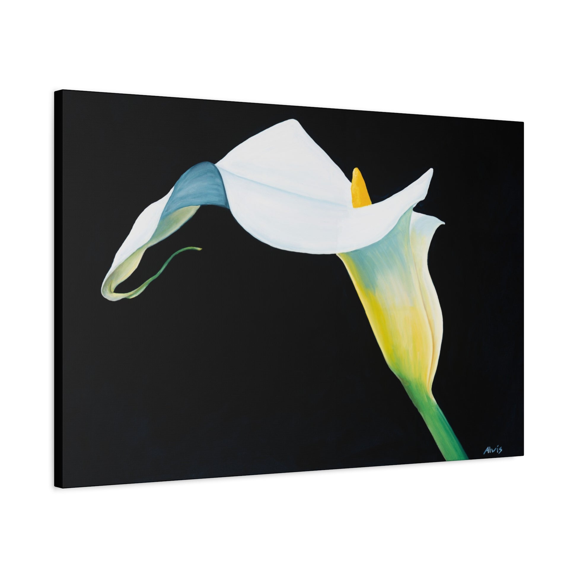Elegant Calla Lily — Stretched Canvas