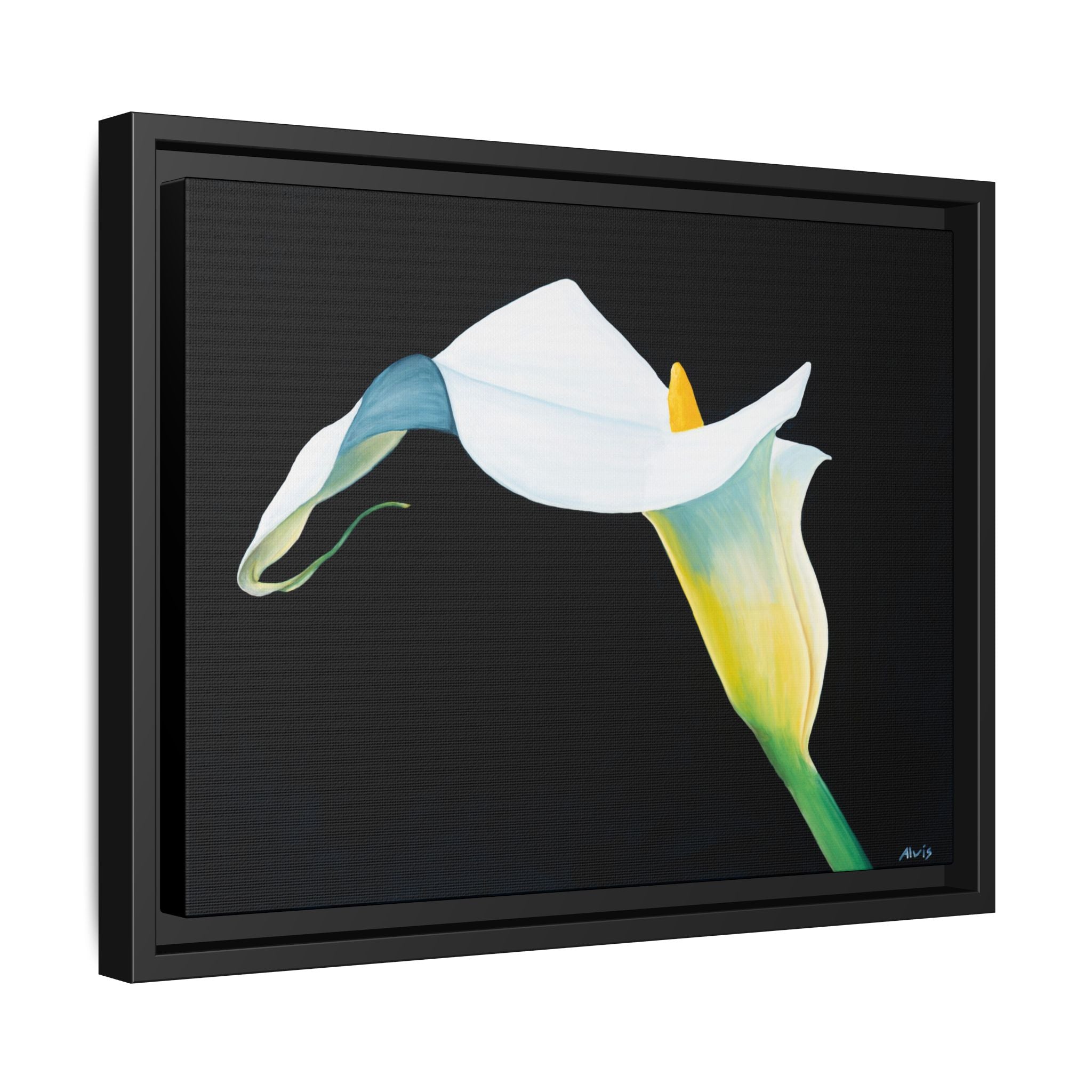 Elegant Calla Lily — Framed Canvas