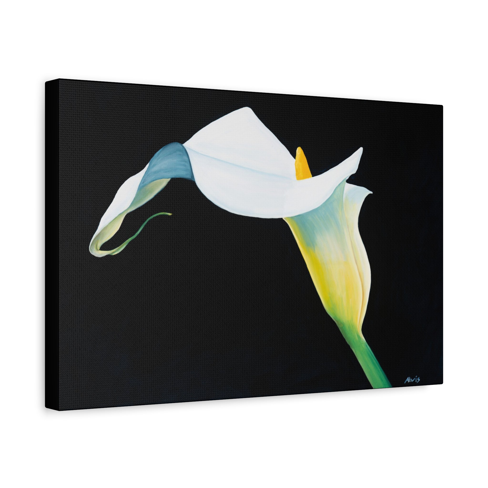 Elegant Calla Lily — Stretched Canvas