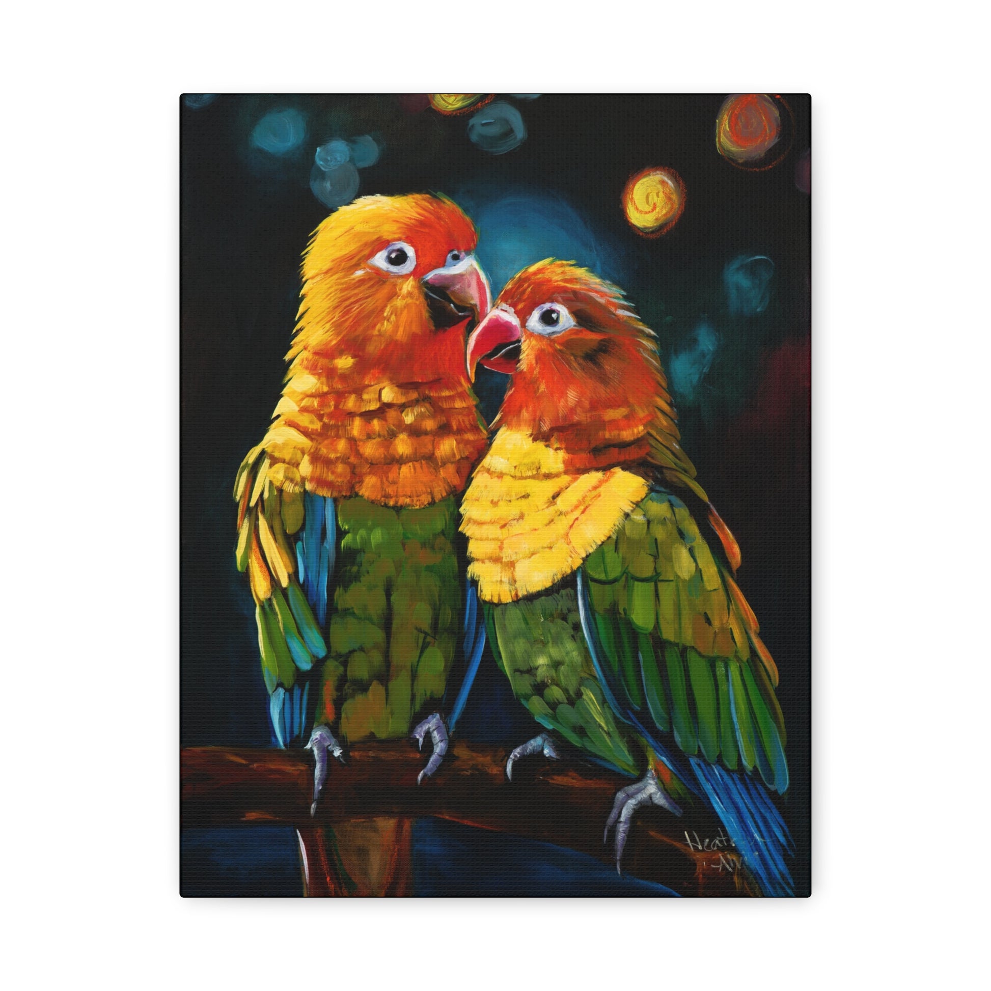 Sun Conure Parrots - Original