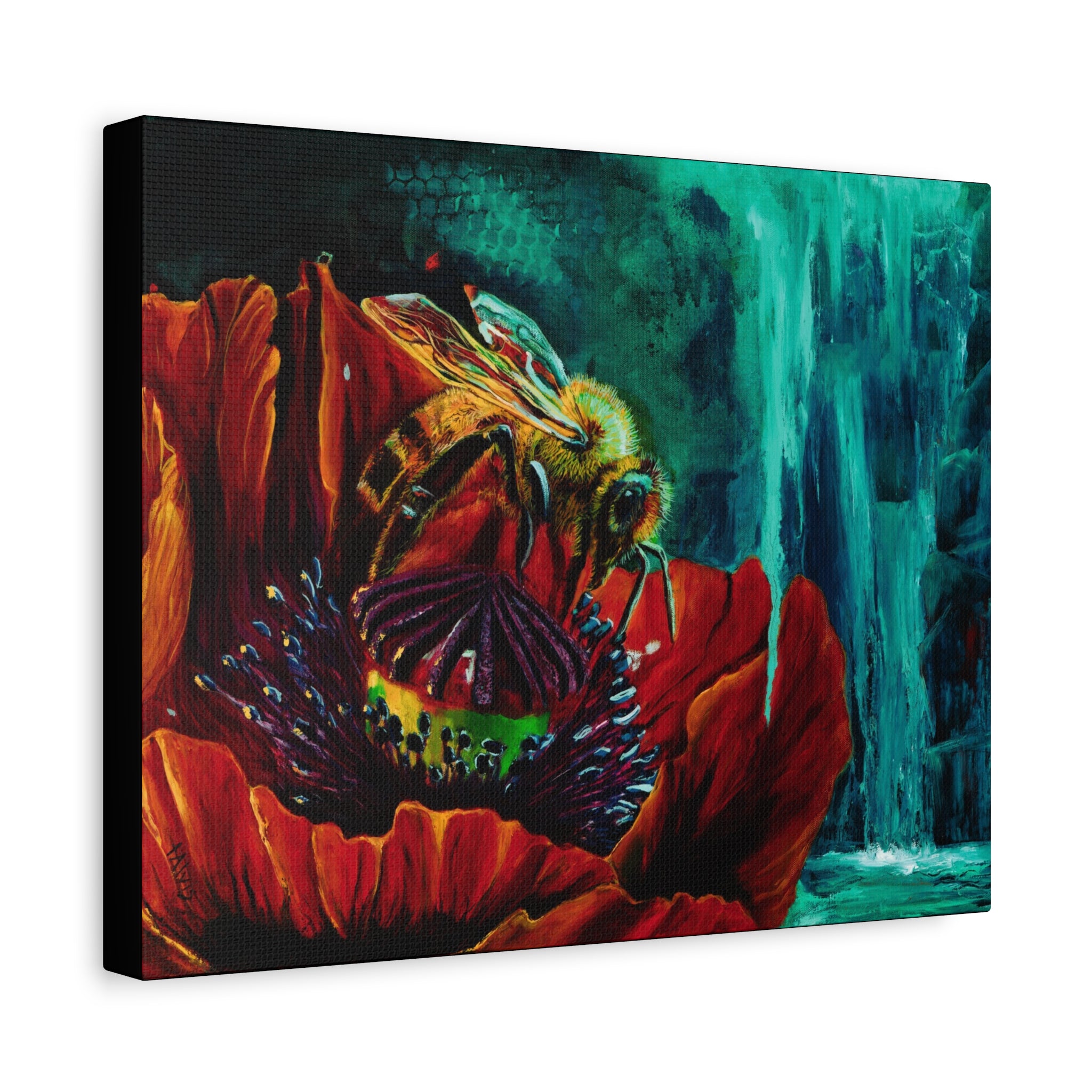 Honeybee and the Poppy — Stretched Canvas