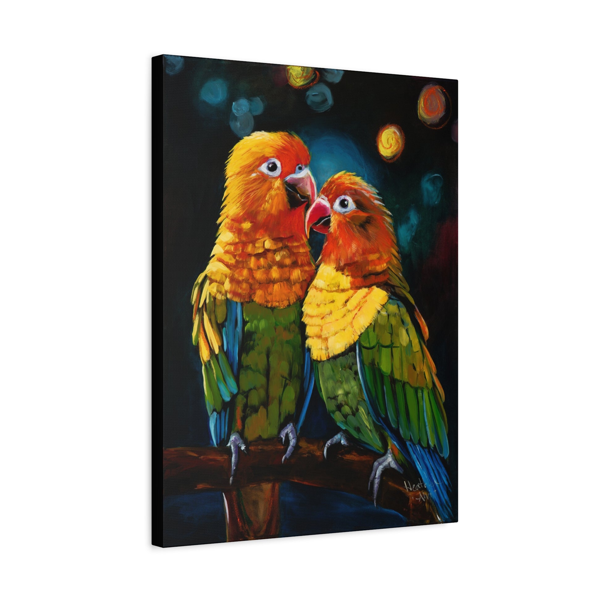 Sun Conure Parrots — Stretched Canvas