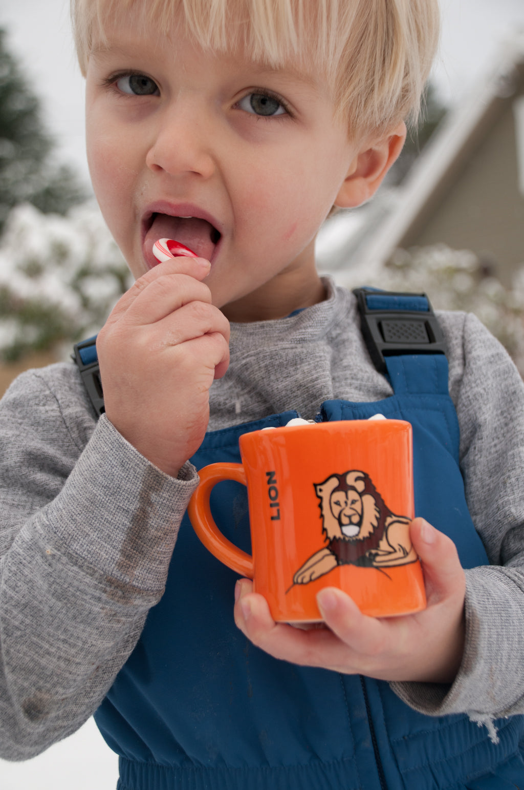 Lion BittyMug 4oz