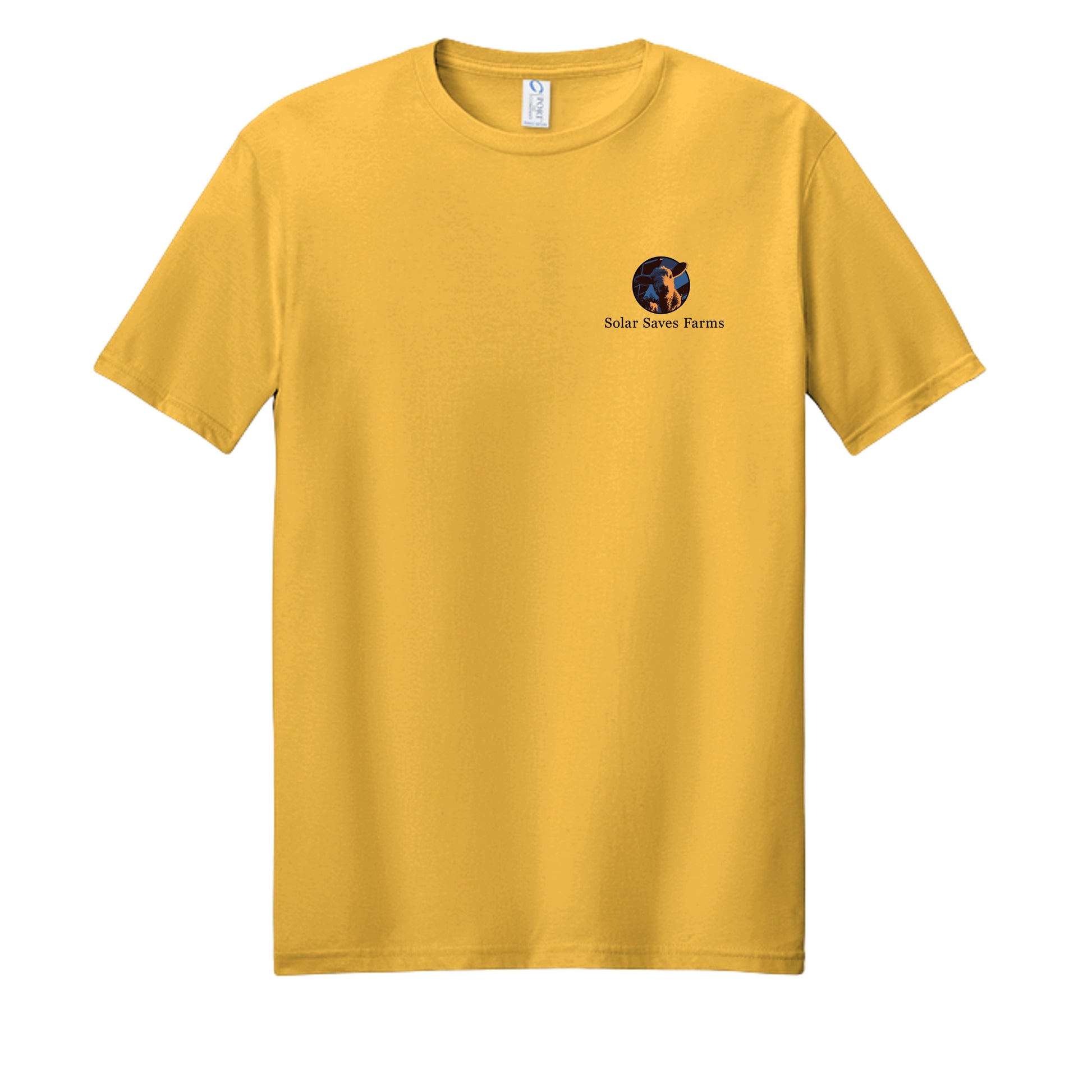 Bright Gold - PC450 - FRONT